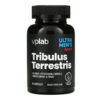 Tribulus Terrestris - 90 caps