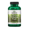 Tribulus Fruit 500mg - 90 cap