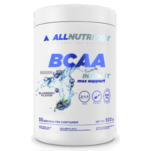 BCAA Max Support Instant - 500g Bllueberry