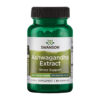 Ashwagandha Extract Standardized 450mg - 60 caps